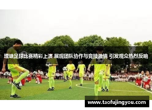 理塘足球比赛精彩上演 展现团队协作与竞技激情 引发观众热烈反响